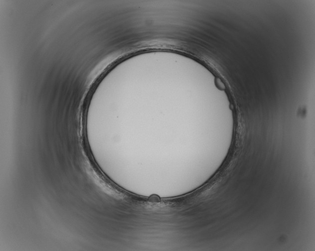 X0000114721082200911181358