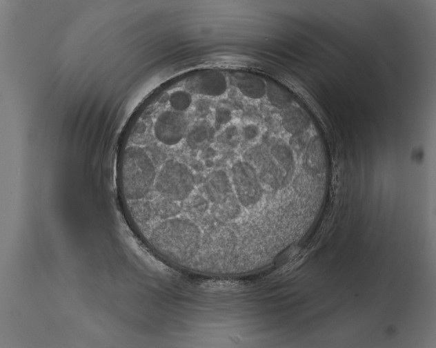 X0000114721083200911181358