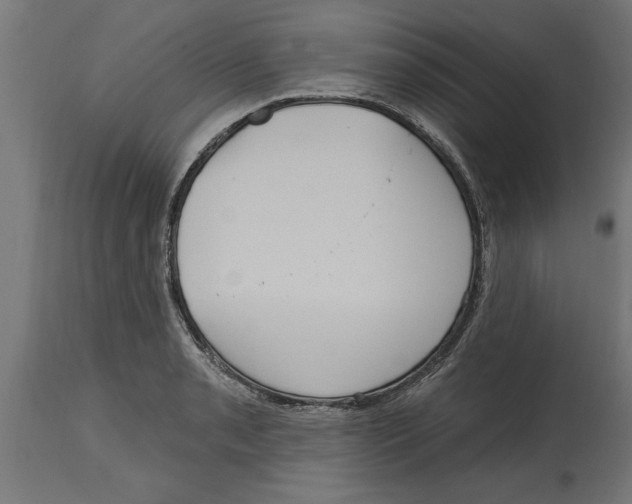 X0000114721085200911181358