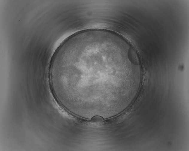 X0000114721086200911181358