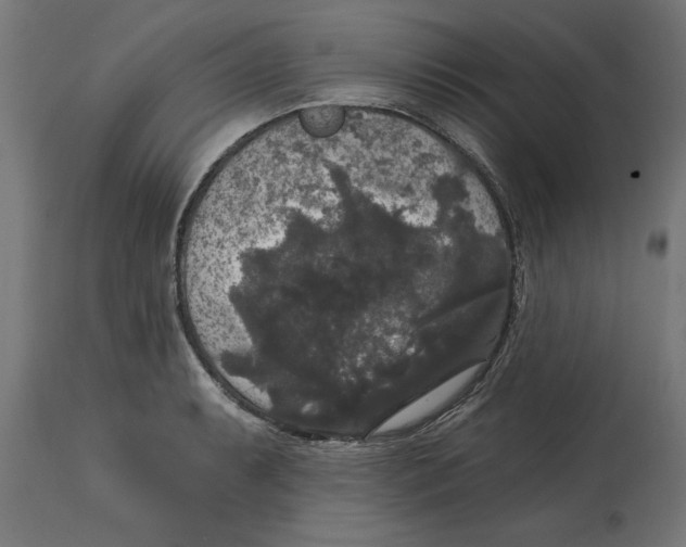 X0000114721087200911181358