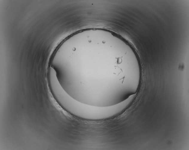 X0000114721088200911181358