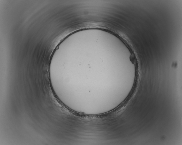 X0000114721089200911181358