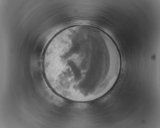 X0000114721090200911181358