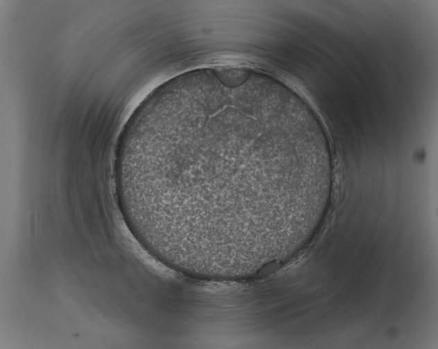 X0000114721091200911181358