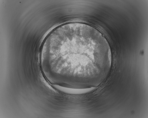 X0000114721092200911181358