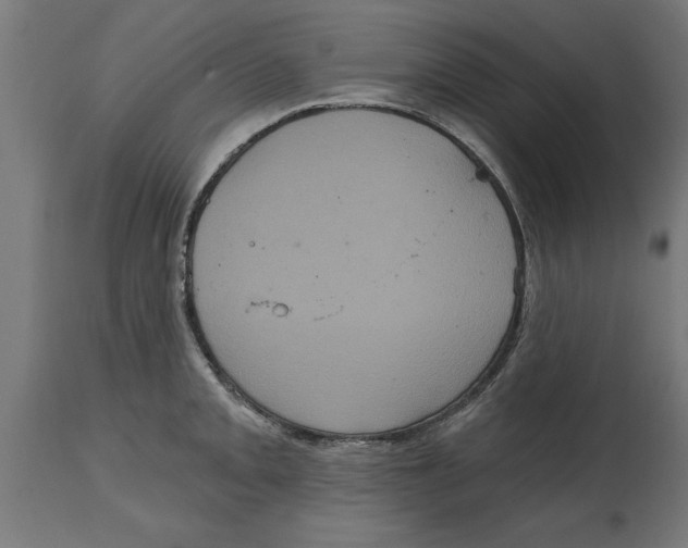 X0000114721093200911181358