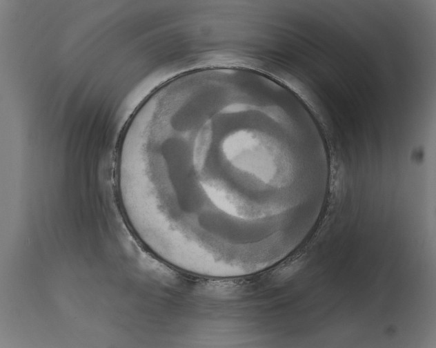 X0000114721094200911181358