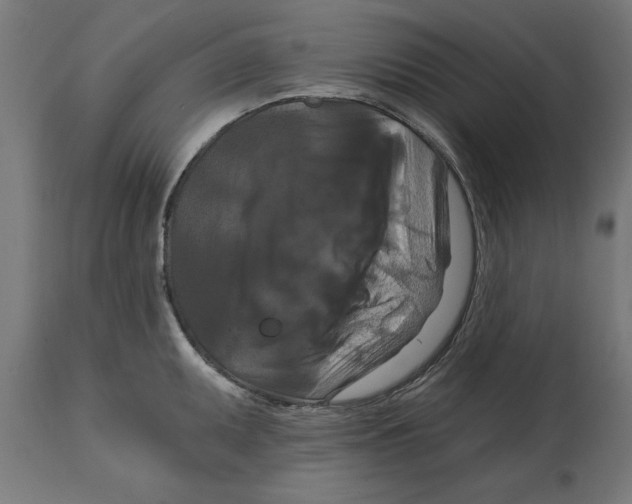 X0000114721095200911181358