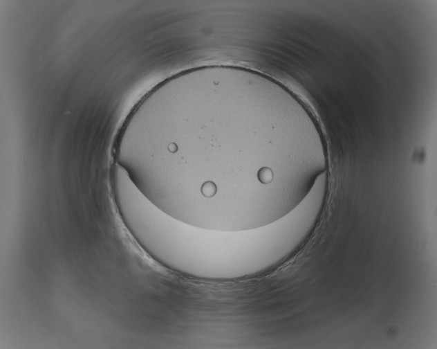 X0000114721096200911181358