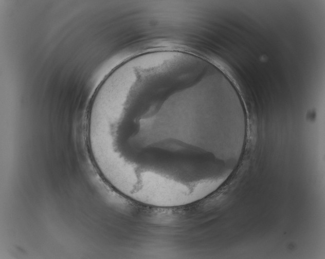 X0000114721098200911181358