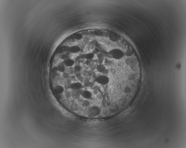 X0000114721099200911181358