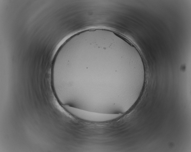 X0000114721100200911181358