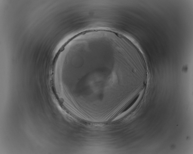 X0000114721101200911181358