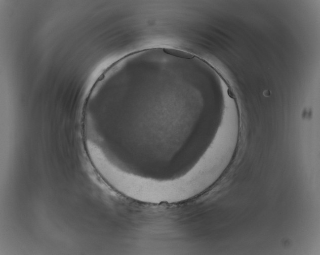 X0000114721104200911181358