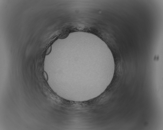 X0000114721105200911181357