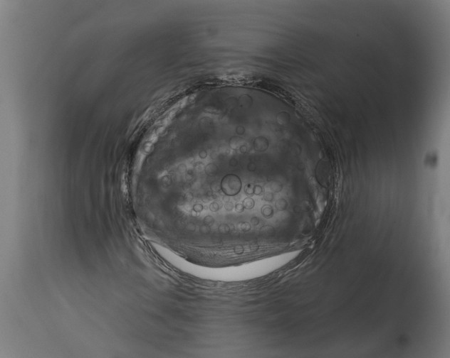 X0000114721106200911181357