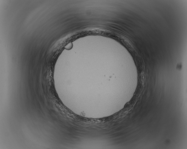 X0000114721111200911181357