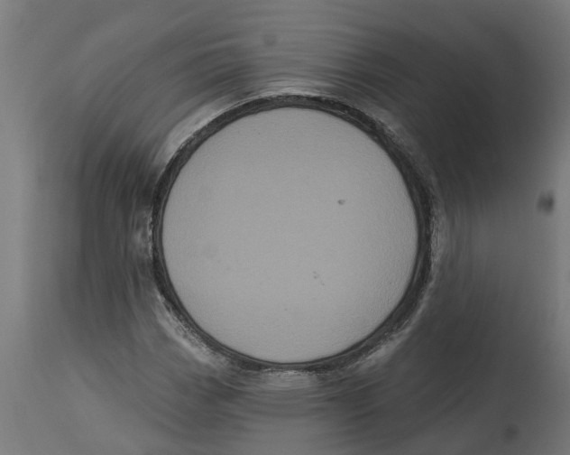 X0000114721113200911181357