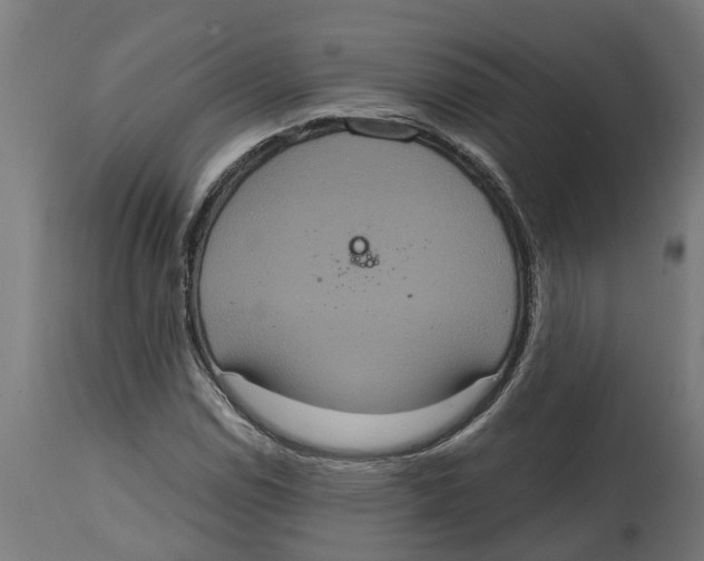 X0000114721114200911181357