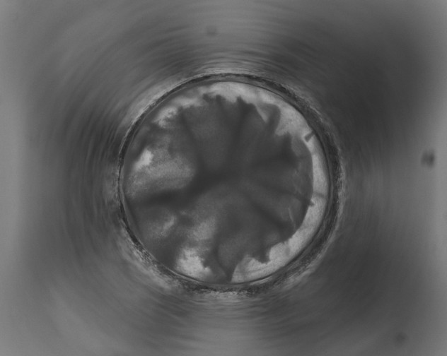 X0000114721121200911181358