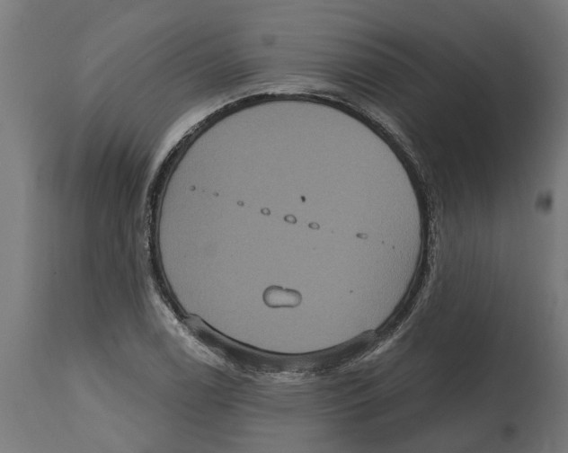 X0000114721122200911181358