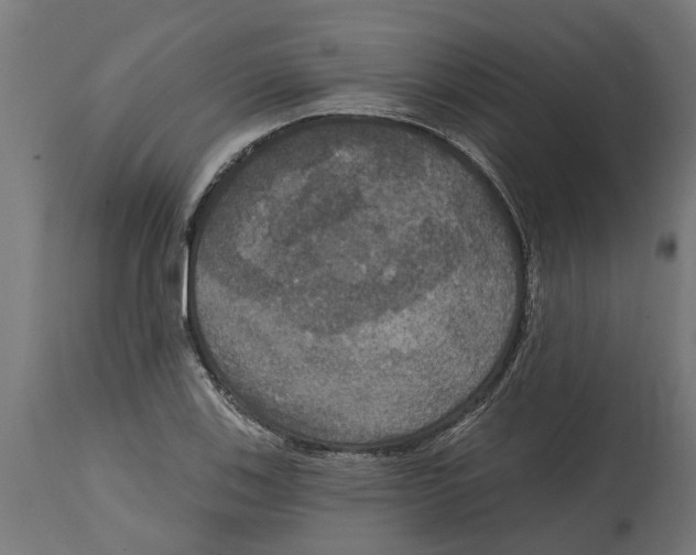 X0000114721123200911181358