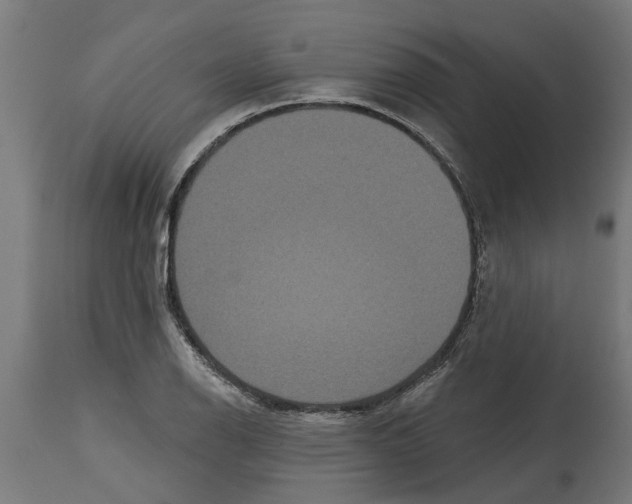 X0000114721126200911181358