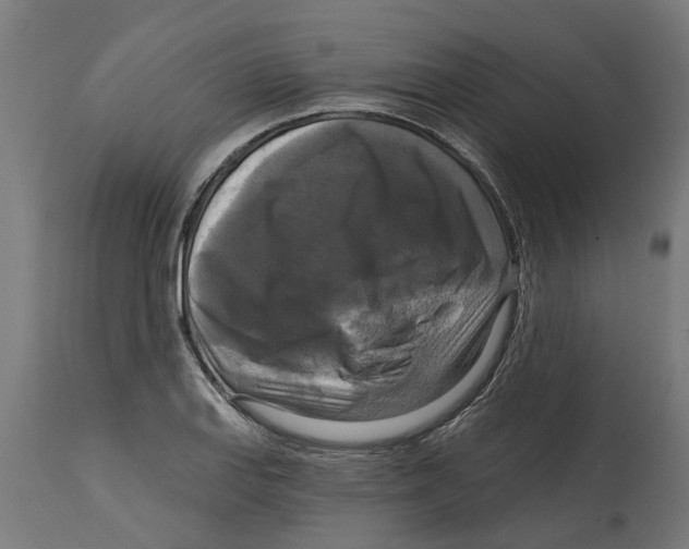 X0000114721127200911181358