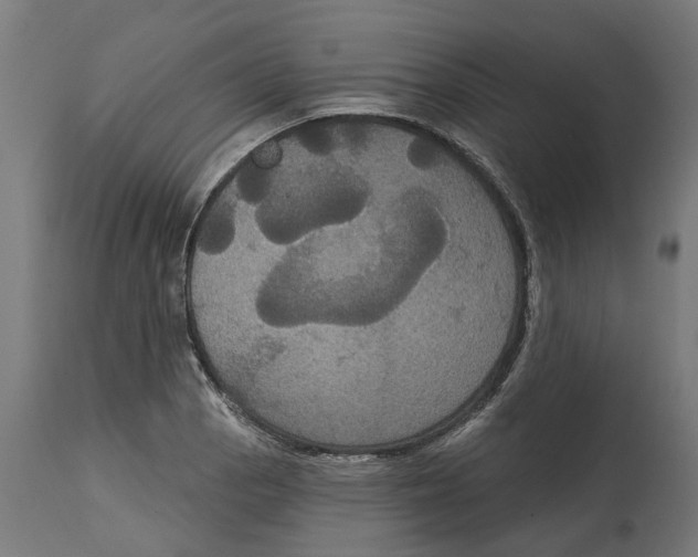 X0000114721129200911181358