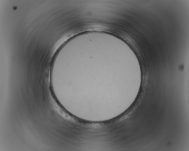 X0000114721130200911181358