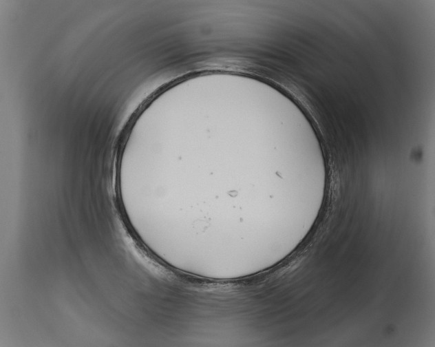 X0000114721131200911181358