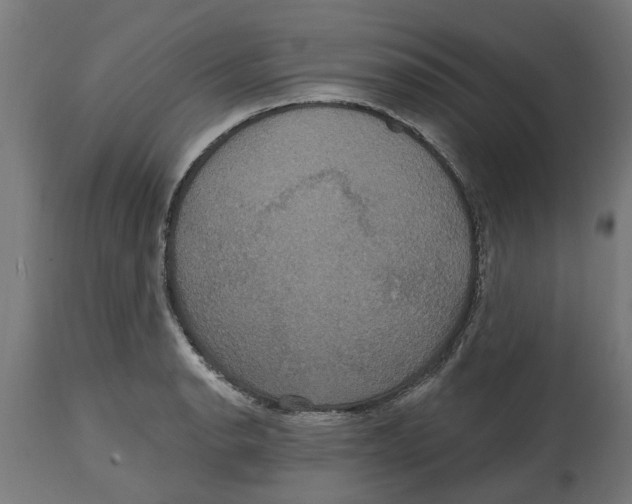 X0000114721134200911181358