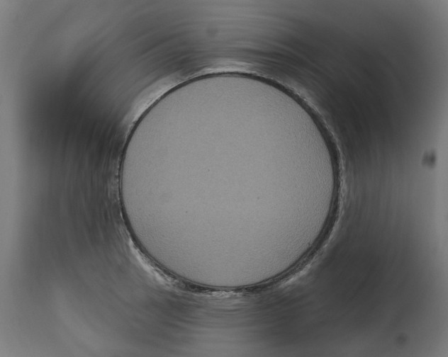 X0000114721137200911181358