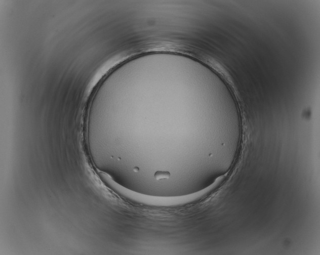 X0000114721138200911181358