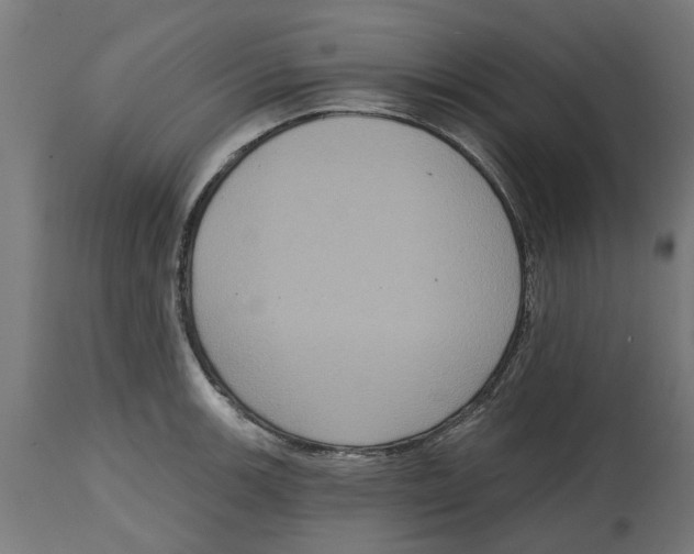 X0000114721139200911181358