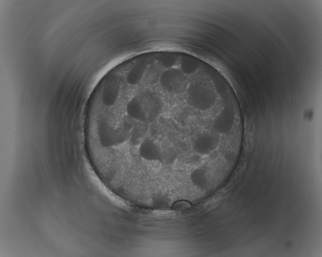 X0000114721142200911181358