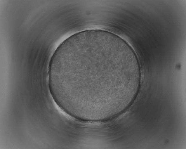 X0000114721143200911181358