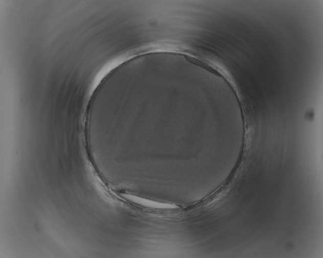 X0000114721146200911181358