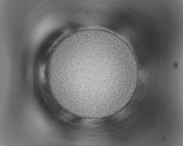 X0000114721150200911181358