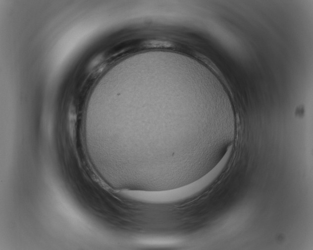 X0000114721151200911181358