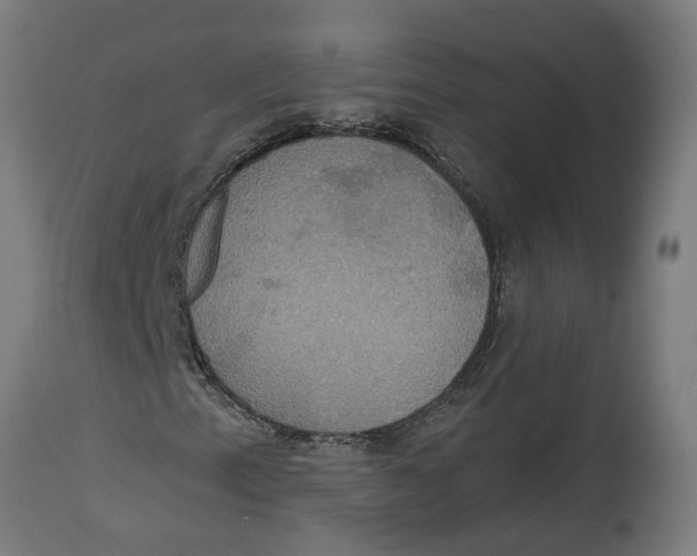 X0000114721153200911181357