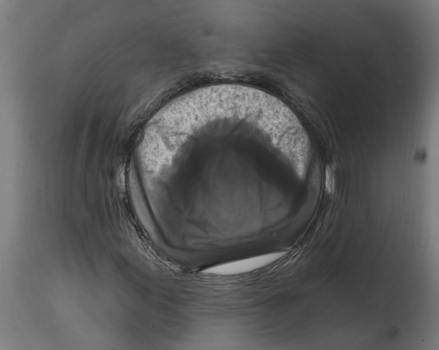 X0000114721155200911181357