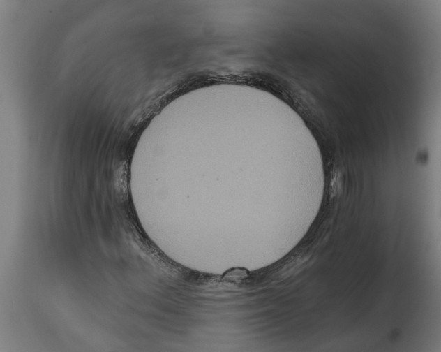 X0000114721156200911181357