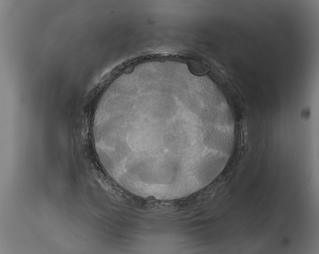 X0000114721158200911181357