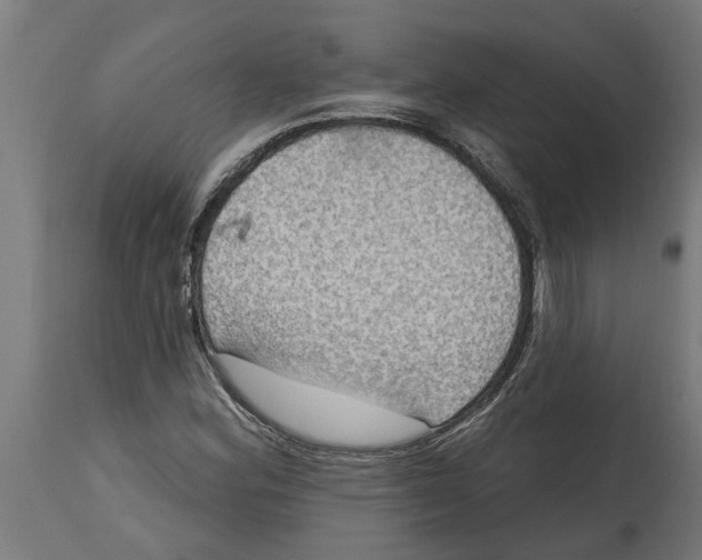 X0000114721164200911181357