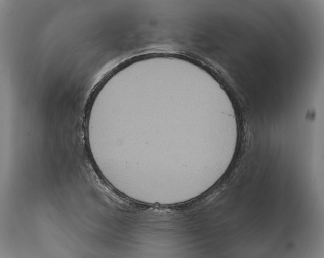 X0000114721168200911181357