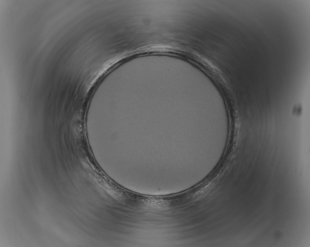 X0000114721170200911181357