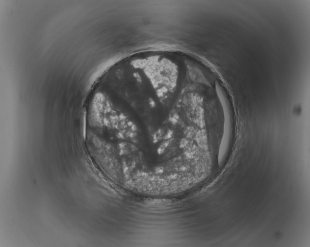 X0000114721171200911181357