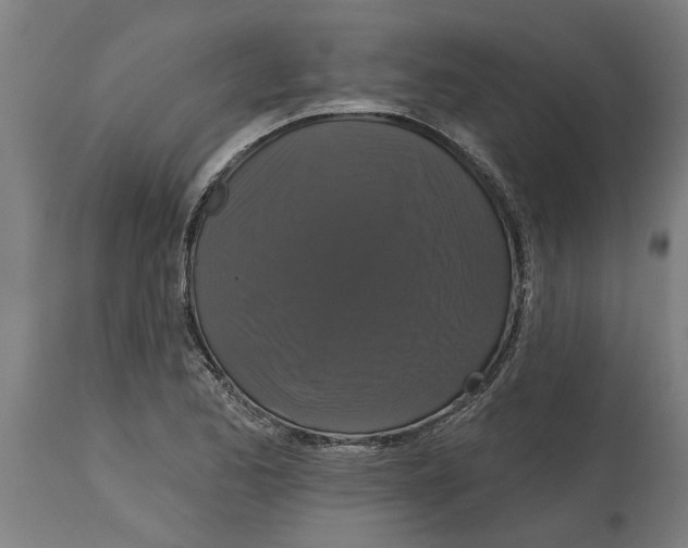 X0000114721173200911181357